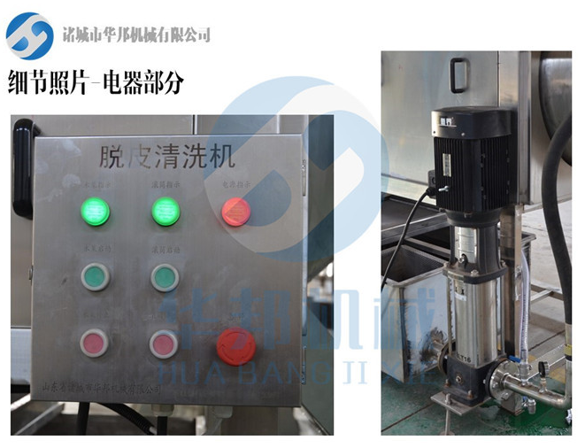 山東核桃仁去皮機