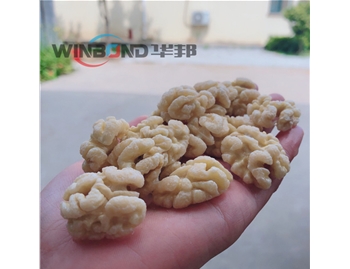 試機----全自動去皮生產(chǎn)流水線