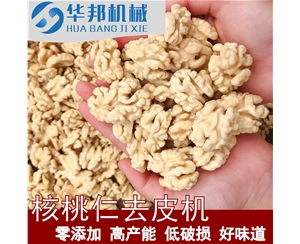 核桃仁去皮機(jī) 多味核桃仁生產(chǎn)線設(shè)備