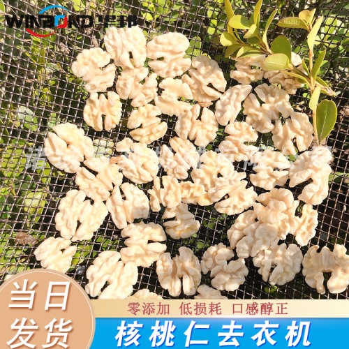 0防腐劑核桃仁去皮機(jī) 0添加人工色素 物理核桃仁脫皮機(jī) 