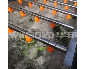 速凍蔬菜加工流水線 香菇漂燙機 廠家定制